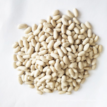 For Sale High Quality Northeast Baishake White Kidney Beans